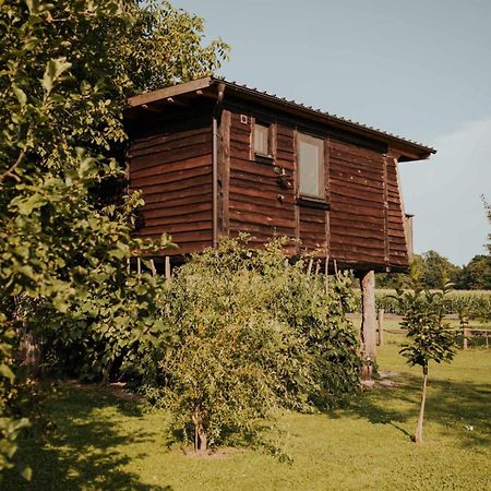 ホテル Treehouse Drevesna Hiska Strkovo Gnezdo Ranc Jures リュトメル エクステリア 写真