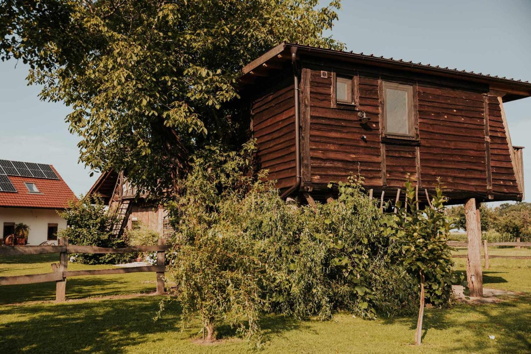 ホテル Treehouse Drevesna Hiska Strkovo Gnezdo Ranc Jures リュトメル エクステリア 写真