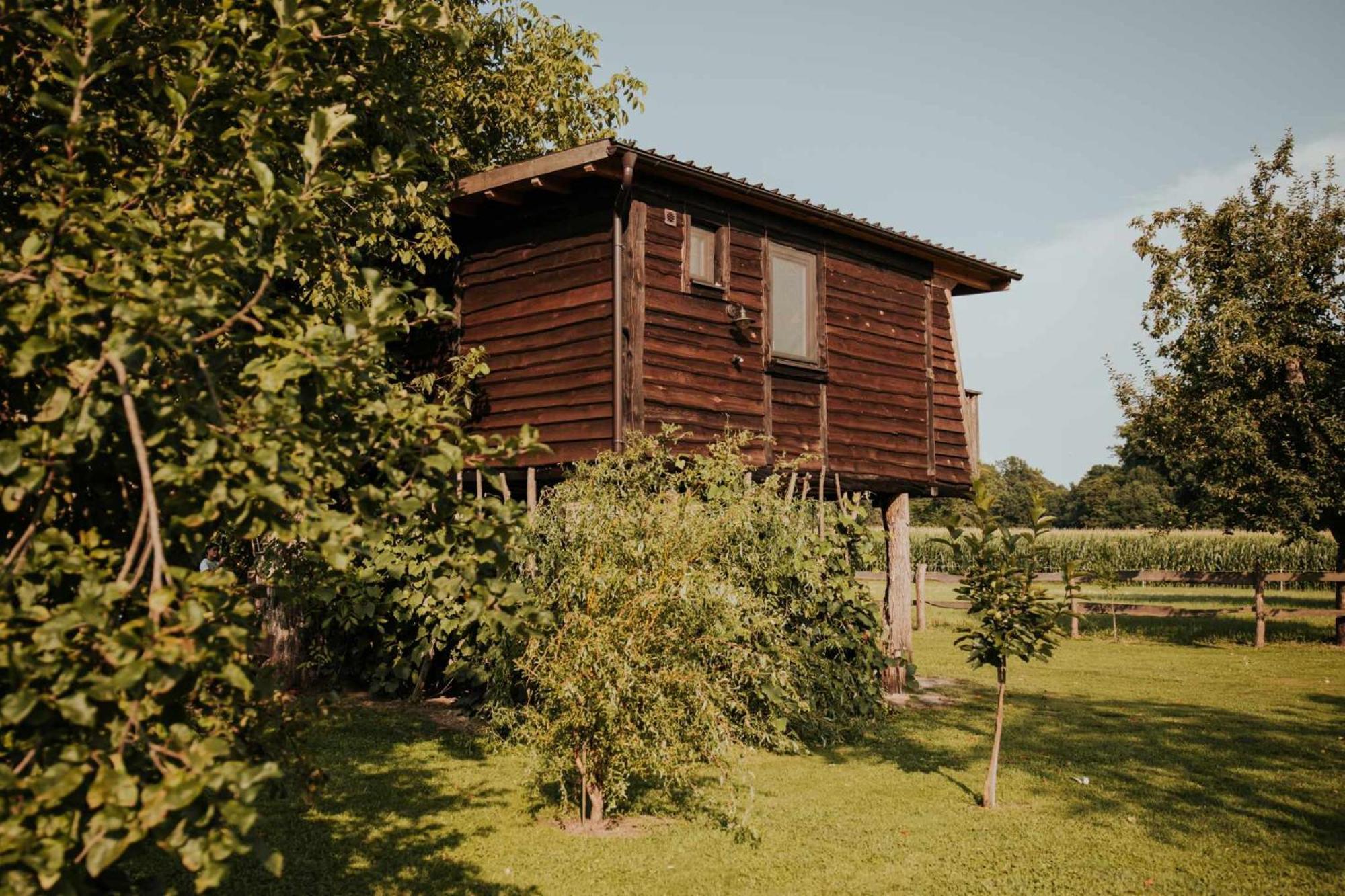 ホテル Treehouse Drevesna Hiska Strkovo Gnezdo Ranc Jures リュトメル エクステリア 写真